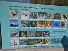 -中环花鸟鱼虫市场