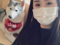 -Husky Go! 哈士奇体验馆·宠物咖啡厅狗咖