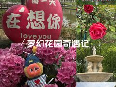 -上海鲜花港
