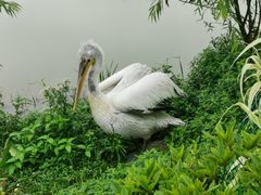 -长兴太湖图影湿地文化园
