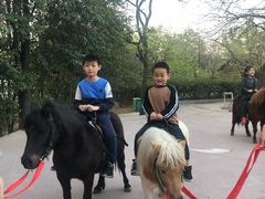 -西安秦岭野生动物园