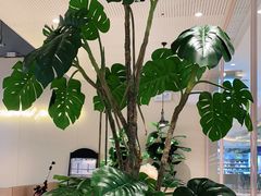 -卡朋西餐(悦汇城店)