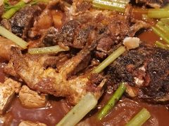 -老板恋上鱼(印象城店)