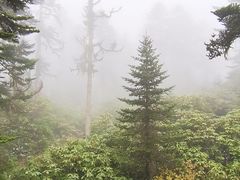 -海螺沟风景区