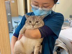 -萌兽医馆·犬猫专科·眼科中心·宠物医院(朝阳门分院)