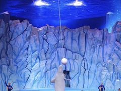 -珠海长隆海洋王国