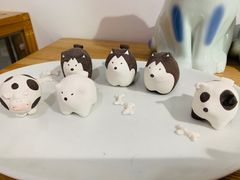 -猫里有甜