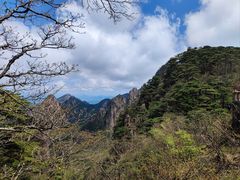 -黄山风景区