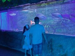 -芜湖新华联大白鲸海洋公园