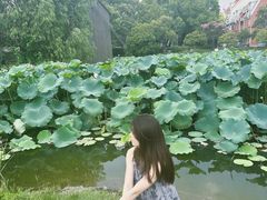 -美兰湖景区