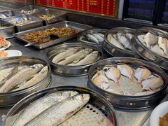 -长平肥姐白粥·海鲜打冷