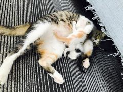 -五月木作·DIY木作文创体验店(北京路店)