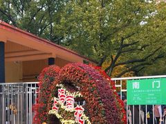 -上海共青森林公园