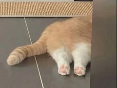 -野人先生现做冰淇淋(北京顺义祥云小镇店)