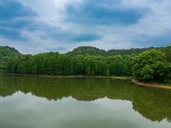 -青龙山国家森林公园