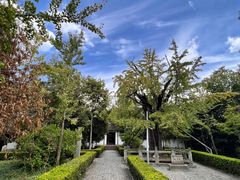 -上海佘山国家森林公园天马山园