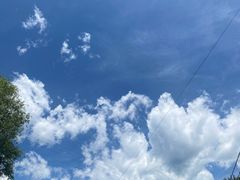 -Local泰莲庭(虹鳟鱼店)