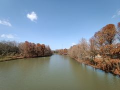 -上海海湾国家森林公园