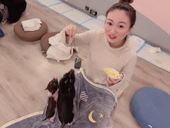-浣熊柯尔鸭土拨鼠·电玩咖