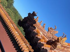 -颐和园