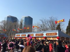 -北京石景山游乐园