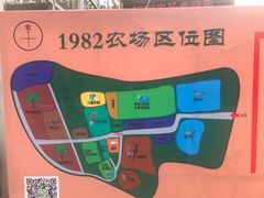 -1982农场