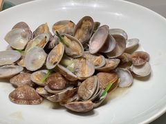 葱油炝花蛤-红城阁·上海味道(四平路店)