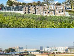 -华侨城湿地公园