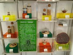 -安心妈妈月子中心(高新店)