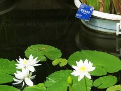 -国家植物园南园