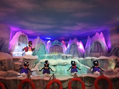 -帝企鹅自助餐厅•儿童岛•真企鹅(长隆企鹅酒店)