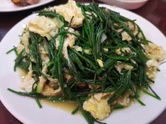 -范记靖远羊羔肉(博物馆店)