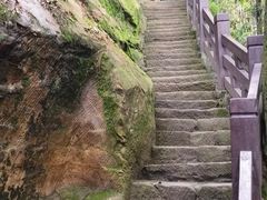 -缙云山景区