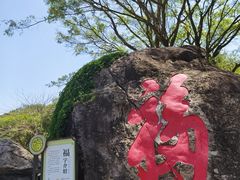 -天鹿湖森林公园