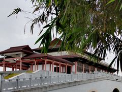 -大湾区中央湿地公园