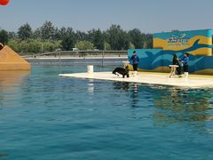 -秦皇岛乐岛海洋王国