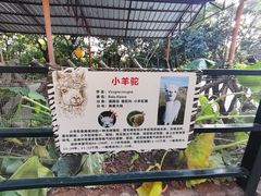 -深圳野生动物园