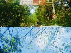 -火炉山森林公园