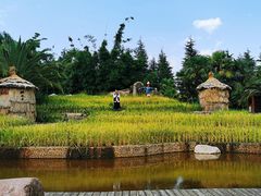 -云南民族村