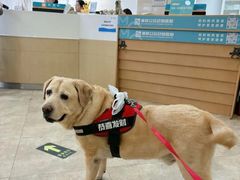 -美联众合动物医院·24h转诊中心