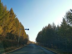 -塞罕坝国家级自然保护区