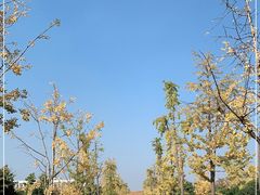 -明故宫遗址公园