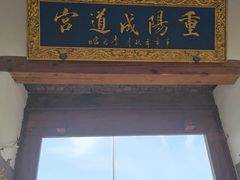 -活死人墓
