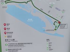 -福田红树林生态公园