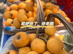 -桃源山庄·水蜜桃采摘·柴火鸡·烧烤团建(龙泉山店)