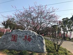 -上海海湾国家森林公园