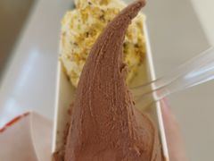 -野人先生现做冰淇淋(北京王府井东方新天地店)