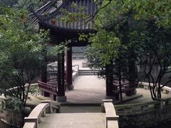 iphone_upload_pic-忠山公园