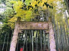 -杭州黄龙洞