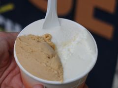 -Dip in Gelato(富民路店)